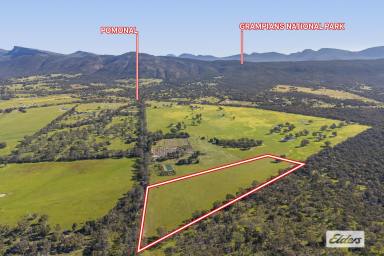 Other (Rural) For Sale - VIC - Pomonal - 3381 - A Rare Lifestyle Opportunity on the Doorstep of the Grampians  (Image 2)