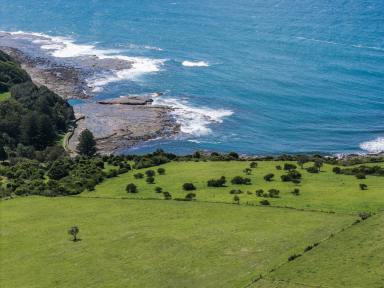 Lifestyle Auction - NSW - Gerringong - 2534 - Rare Coastal Acreage with Boundless Potential  (Image 2)