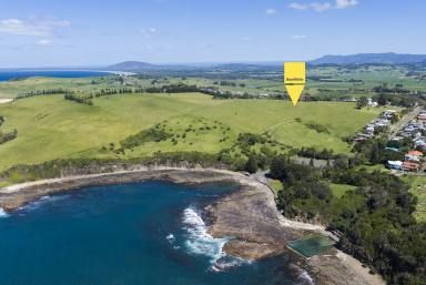 Lifestyle Auction - NSW - Gerringong - 2534 - Rare Coastal Acreage with Boundless Potential  (Image 2)