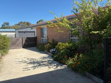 House For Lease - VIC - Wy Yung - 3875 - 28 The Boulevarde Wy Yung  (Image 2)