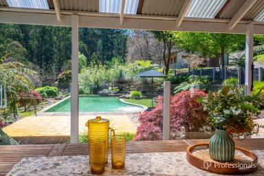 House For Sale - VIC - Don Valley - 3139 - AROUND 38 ACRES OF PRIVACY, LUXURY & BREATHTAKING VIEWS  (Image 2)