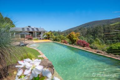 House For Sale - VIC - Don Valley - 3139 - AROUND 38 ACRES OF PRIVACY, LUXURY & BREATHTAKING VIEWS  (Image 2)