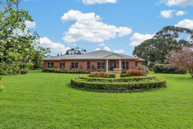 Mixed Farming For Sale - VIC - Hawkesdale - 3287 - NOTED HAWKESDALE GRAZING HOLDING (Image 2)