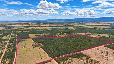 Cropping For Sale - NSW - Narrabri - 2390 - COUNTRY LIVING, SPACE & LIFESTYLE - ONLY 10 MINS FROM NARRBRI CBD (Image 2)