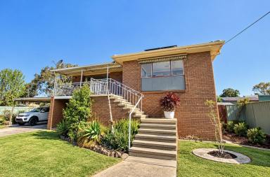 House For Sale - NSW - Howlong - 2643 - Spacious Family Living on 4046 m2 -One Acre with Subdivision Potential  (Image 2)