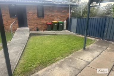 House For Lease - NSW - Taree - 2430 - COMFORTABLE LIVING WITH SOLAR & GREAT OUTDOOR SPACE! (Image 2)