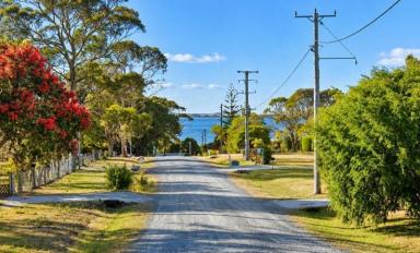 Residential Block For Sale - TAS - Ansons Bay - 7264 - Unique Opportunity in Anson's Bay  (Image 2)