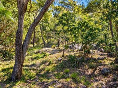 Residential Block For Sale - QLD - Nelly Bay - 4819 - Peaceful 763m² Island Block Backing National Park (Image 2)