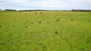 Livestock For Sale - VIC - Broadwater - 3301 - CENTRAL LOCATION – UPSIDE POTENTIAL  (Image 2)
