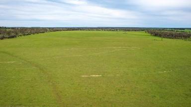 Livestock For Sale - VIC - Broadwater - 3301 - CENTRAL LOCATION – UPSIDE POTENTIAL  (Image 2)