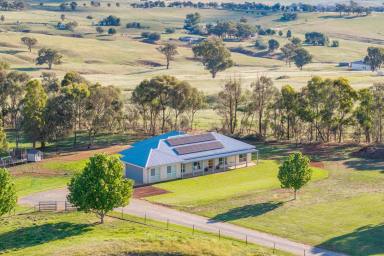 Lifestyle For Sale - NSW - Canowindra - 2804 - Modern family home, Huge Shed & 27acres with great views!  (Image 2)