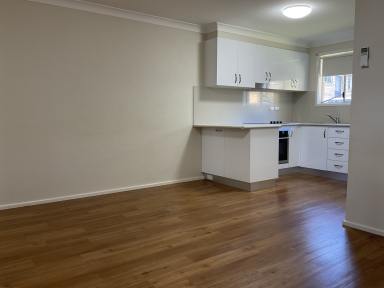 Unit For Lease - NSW - Tamworth - 2340 - Fully Renovated Two Bedroom Unit North Tamworth (Image 2)