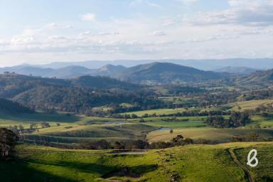Other (Rural) Auction - NSW - Gresford - 2311 - "Creightons Creek Station" Landmark Grazing Holding | Subdivision Potential (STCA) (Image 2)