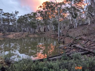 Acreage/Semi-rural For Sale - NSW - Numeralla - 2630 - Surrounded by Nature (Image 2)