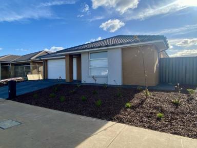 House For Lease - VIC - Echuca - 3564 - adfvbafv  (Image 2)