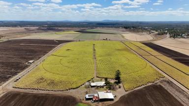 Cropping For Sale - QLD - Tirroan - 4671 - Securely Watered Irrigated Cropping Enterprise in the Bundaberg Region  (Image 2)