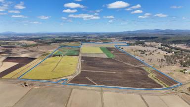 Cropping For Sale - QLD - Tirroan - 4671 - Securely Watered Irrigated Cropping Enterprise in the Bundaberg Region  (Image 2)