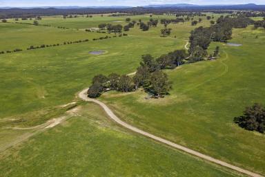 Mixed Farming For Sale - VIC - Moormbool West - 3523 - Tightly Held, Well-Developed Grazing | 586* Acres  (Image 2)
