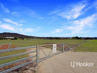 Residential Block For Sale - NSW - Inverell - 2360 - 1 HA Prestige Building Block  (Image 2)