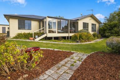 House For Sale - TAS - Clarence Point - 7270 - Country Comfort on 14 Acres  (Image 2)