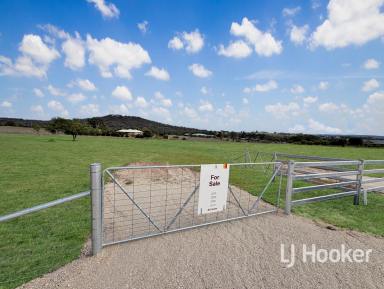 Residential Block For Sale - NSW - Inverell - 2360 - Spacious Lifestyle Building Blocks with Northerly Views  (Image 2)