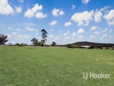 Residential Block For Sale - NSW - Inverell - 2360 - Spacious Lifestyle Building Blocks with Northerly Views  (Image 2)