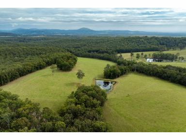 Lifestyle For Sale - NSW - Minimbah - 2312 - Fantastic Lifestyle Property (Image 2)