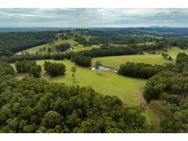 Lifestyle For Sale - NSW - Minimbah - 2312 - Fantastic Lifestyle Property (Image 2)