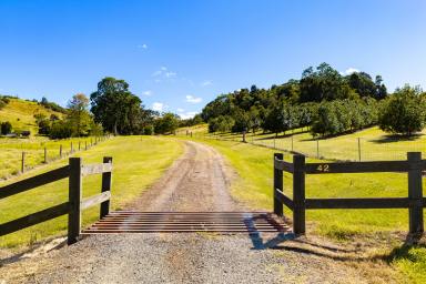 House For Sale - QLD - Amamoor - 4570 - Modern Country Living with Income Potential and Outstanding Views  (Image 2)