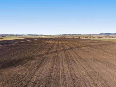 Cropping For Sale - QLD - Willowvale - 4370 - "SUNNYSIDE"  (Image 2)
