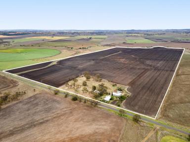 Cropping For Sale - QLD - Willowvale - 4370 - "SUNNYSIDE"  (Image 2)