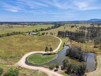 Business For Sale - NSW - Newcastle - 2300 - Rare WIWO Rural & Earthmoving Opportunity - 265 Acres + Machinery  (Image 2)