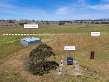 Business For Sale - NSW - Newcastle - 2300 - Rare WIWO Rural & Earthmoving Opportunity - 265 Acres + Machinery  (Image 2)