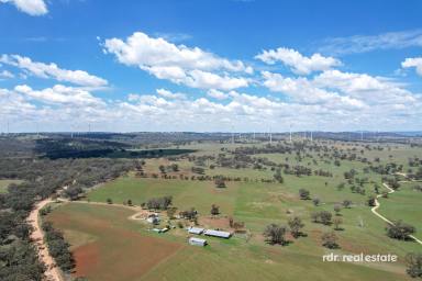 Mixed Farming For Sale - NSW - Inverell - 2360 - SPRING CREEK  (Image 2)