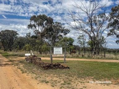 Mixed Farming For Sale - NSW - Inverell - 2360 - SPRING CREEK  (Image 2)