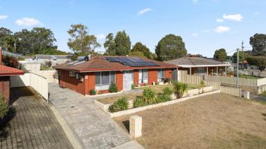 House For Sale - WA - Koondoola - 6064 - Parkside Position, 692m² Block & Exciting Development Potential!  (Image 2)