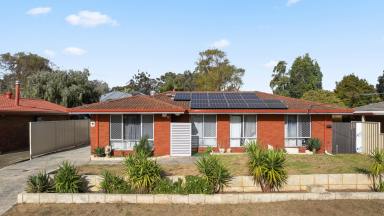 House For Sale - WA - Koondoola - 6064 - Parkside Position, 692m² Block & Exciting Development Potential!  (Image 2)