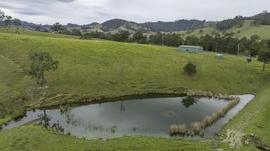 Lifestyle For Sale - NSW - Eccleston - 2311 - 224 Acres | Approx. 500m Allyn River Frontage | DA Approved | Exceptional Infrastructure (Image 2)