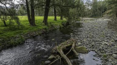 Lifestyle For Sale - NSW - Eccleston - 2311 - 224 Acres | Approx. 500m Allyn River Frontage | DA Approved | Exceptional Infrastructure (Image 2)