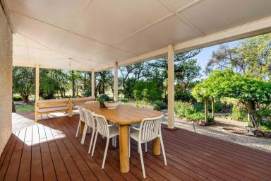 Mixed Farming Auction - NSW - Mangoplah - 2652 - Productive Country, Reliable Water and Historic Homestead  (Image 2)