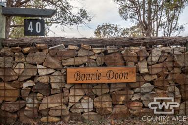 Lifestyle For Sale - NSW - Torrington - 2371 - A Fully Equipped Rural Escape – Walk In, Walk Out on 11 Acres (Image 2)