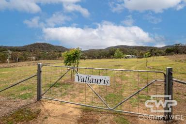 Lifestyle For Sale - NSW - Stannum - 2371 - Your Own Rural Retreat (Image 2)