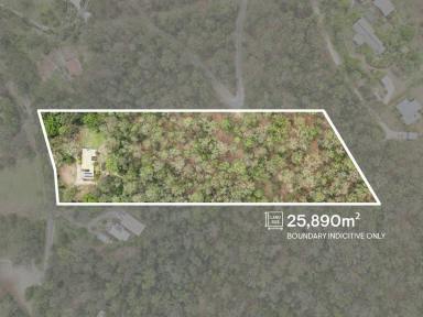 Acreage/Semi-rural For Sale - QLD - Mudgeeraba - 4213 - Your Own Private Nature Retreat on 25,890m² – Space, Serenity & Country Charm  (Image 2)