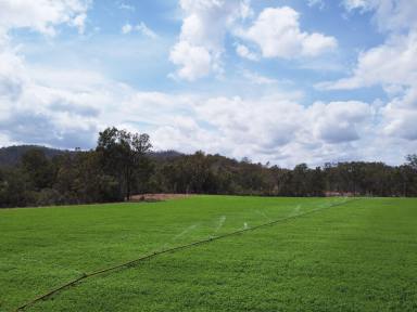 Mixed Farming For Sale - QLD - Monal - 4630 - Irrigation & Grazing with Modern Improvements  (Image 2)