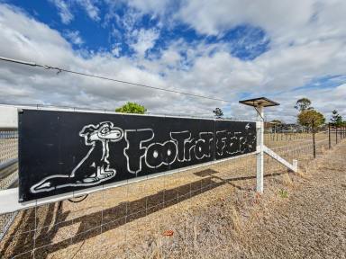 Acreage/Semi-rural Auction - QLD - Callide - 4715 - Country Living Just 12 km to Biloela (Image 2)
