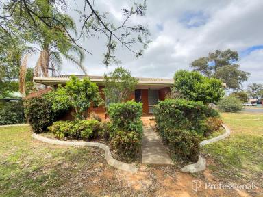 House For Lease - NSW - West Tamworth - 2340 - 3 Bedroom House - West Tamworth  (Image 2)