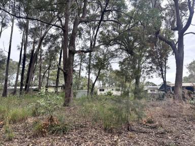 Residential Block For Sale - QLD - Russell Island - 4184 - Cast Away the Everyday – Your Island Escape Awaits! (Image 2)