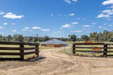 Lifestyle For Sale - WA - Collie Burn - 6225 - THE ULTIMATE TREE CHANGE  (Image 2)
