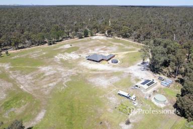Lifestyle For Sale - WA - Collie Burn - 6225 - THE ULTIMATE TREE CHANGE  (Image 2)