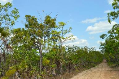 Residential Block For Sale - NT - Blackmore - 0822 - 7.2 + Acres vacant land (Image 2)